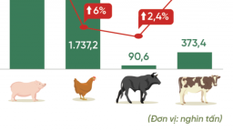 Toàn cảnh ngành chăn nuôi: Liên tục thua lỗ, vẫn nhập khẩu khủng