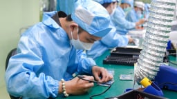 Đà Nẵng nghiên cứu cơ chế đột phá cho vi mạch bán dẫn, tạo động lực tăng trưởng mới
