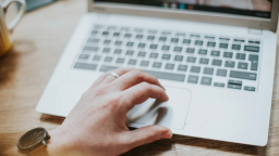 Đây là những thứ được tìm kiếm nhiều nhất trên Google trong năm 2023