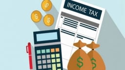Doanh nghiệp nào tại TP.HCM được miễn thuế thu nhập doanh nghiệp?