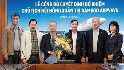 Chân dung tân Chủ tịch Bamboo Airways Phan Đình Tuệ