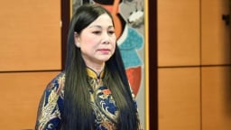 Đề nghị kỷ luật cựu Bí thư Vĩnh Phúc Hoàng Thị Thúy Lan