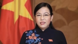 Bà Nguyễn Thanh Hải làm Trưởng Ban Công tác đại biểu thuộc Ủy ban Thường vụ Quốc hội