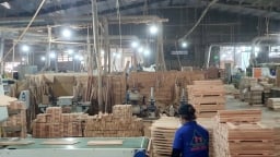 Doanh nghiệp ở Bình Định chi trăm tỷ xây nhà máy sản xuất viên nén sinh học, chế biến gỗ