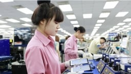 'Sản phẩm xuất khẩu của Việt Nam cần đạt tiêu chuẩn thị trường Hàn Quốc'
