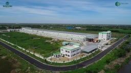 Trần Anh Group phát triển khu công nghiệp xanh đầu tiên