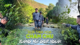 Đưa tinh hoa Cham Chu xuống núi giúp người