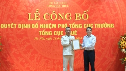 Bổ nhiệm Phó tổng cục trưởng Tổng cục Thuế