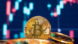 Giá Bitcoin phá vỡ mọi kỷ lục, lên gần 90.000 USD nhờ ông Trump