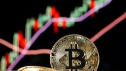 5 loại tiền điện tử đánh bại Bitcoin trong năm 2024