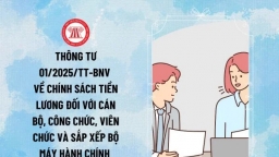 Hướng dẫn chính sách chế độ đối với cán bộ, người lao động thực hiện sắp xếp bộ máy