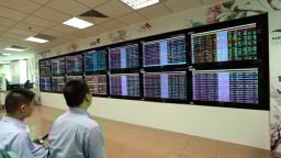 VinaCapital: Phiên bán tháo tạo cơ hội để mua cổ phiếu tốt giá hời
