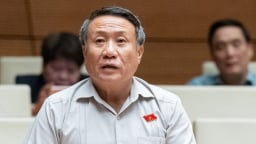'Việc tạm giam doanh nhân kéo dài khiến doanh nghiệp lớn lâm vào khó khăn'