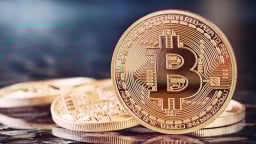 Bitcoin lập đỉnh trong ngày lịch sử Bitcoin Pizza Day