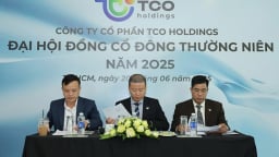 Vốn mỏng, TCO Holdings phát triển ngành gạo thế nào?