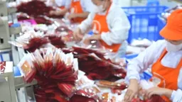 Công ty Ăn Cùng Bà Tuyết giải thể vì kinh doanh khó khăn?