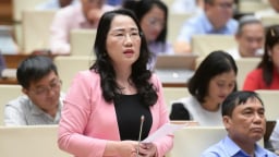 'Không để lỡ cơ hội phát triển vì những điểm nghẽn pháp luật'