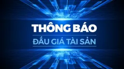 Công ty Đấu giá Hợp danh Vạn Thành An thông báo đấu giá
