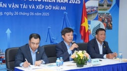 'Người' Viconship vào HĐQT HAH