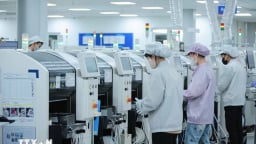 Bất chấp rủi ro thuế quan, doanh nghiệp châu Âu vẫn vững tin vào triển vọng dài hạn của Việt Nam