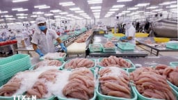 Mỹ là thị trường xuất khẩu nông sản lớn nhất của Việt Nam