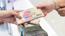 Tiền đồng có thể mất giá 2-3% năm nay