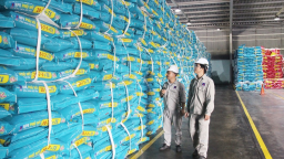 Đạm Phú Mỹ chốt quyền thưởng cổ phiếu ‘khủng’