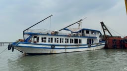 Mức chi trả bảo hiểm cho hành khách bị tử nạn vụ đắm tàu Vịnh Xanh 58 là bao nhiêu?