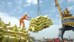 Xuất siêu nông lâm thủy sản đạt gần 10 tỷ USD trong 6 tháng đầu năm 2025