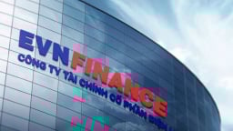 EVNFinance: Số liệu sau soát xét, lợi nhuận 6 tháng 2025 hoàn thành 62% kế hoạch năm