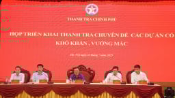 Thanh tra loạt dự án bất động sản vướng mắc của DIC, VGC...