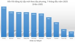Dòng vốn FDI vào Việt Nam tăng đều bất chấp lo ngại thuế quan Mỹ 