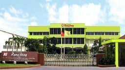 Cái kết buồn của doanh nghiệp nhựa 65 tuổi
