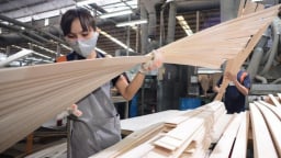 Doanh nghiệp gỗ Việt tính chuyện kinh doanh trên đất Mỹ