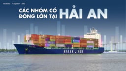 Các nhóm cổ đông lớn tại Hải An