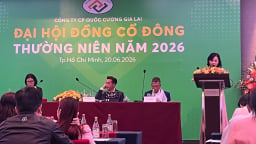 Doanh nhân Cường đô la: 'Năm 2026 sẽ là năm thảm họa của bất động sản'