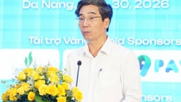 Phó Chủ tịch Đà Nẵng làm Bí thư phường Hội An