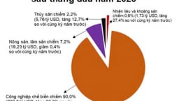 Nhập siêu không đáng lo ngại