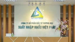 Chủ tịch Việt Phát bị tạm hoãn xuất cảnh