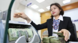 Chuyên gia khuyến nghị thận trọng với các chính sách tăng thanh khoản, hỗ trợ tín dụng