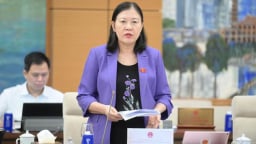 Kiến nghị thu hồi triệt để số tiền bị chiếm đoạt trong vụ lừa đảo 'hợp đồng kỳ nghỉ'