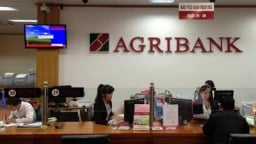 Agribank bổ nhiệm hàng loạt vị trí nhân sự cấp cao