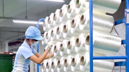 Sợi polyester Việt Nam bị điều tra chống phá gía ở Mỹ