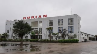 Công an Hà Nội khởi tố giám đốc doanh nghiệp FDI vì trốn thuế