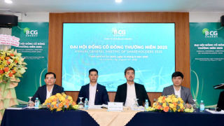 Ba nhân sự NamABank vào HĐQT BCG Energy