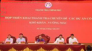Thanh tra loạt dự án bất động sản vướng mắc của DIC, VGC...