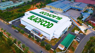 Antesco phát hành 3,5 triệu cổ phiếu riêng lẻ