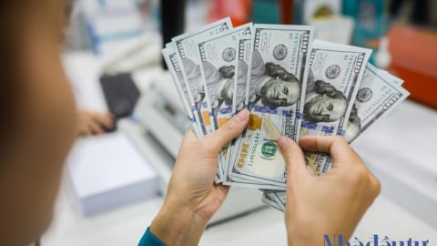 Tỷ giá tìm đỉnh mới