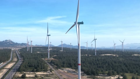Nexif Ratch Energy SE Asia làm nhà máy điện gió hơn 5.700 tỷ tại Gia Lai