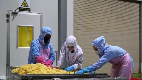 Thị trường trái cây Việt tìm hướng xuất khẩu tỷ USD